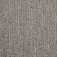 MSL.ARTISTIC.VISION Masland Stainmaster Artistic Vision Carpet