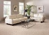 Masland Stainmaster Artistic Vision Carpet-2