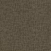 Tuftex Stainmaster Your Beautiful Carpet