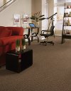 Tuftex Stainmaster Your Beautiful Carpet-2