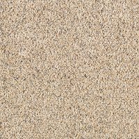 Karastan Sunbrella Carpet