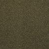 BRE.TOULON Dixie Stainmaster Toulon Carpet