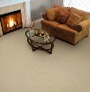 Dixie Stainmaster Toulon Carpet-2