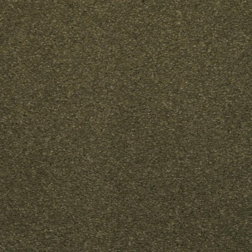 BRE.TOULON Dixie Toulon Carpet-1