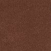 Shaw Barracan I Carpet