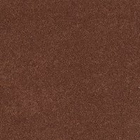 Shaw Barracan I Carpet