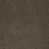 Shaw Barracan III Carpet