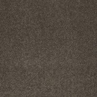 Shaw Barracan III Carpet