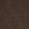 Shaw Barracan IV Carpet