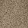 Shaw Pekin II Carpet