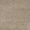Shaw Sarsenet II Carpet