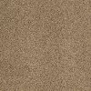 Shaw Sarsenet III Carpet
