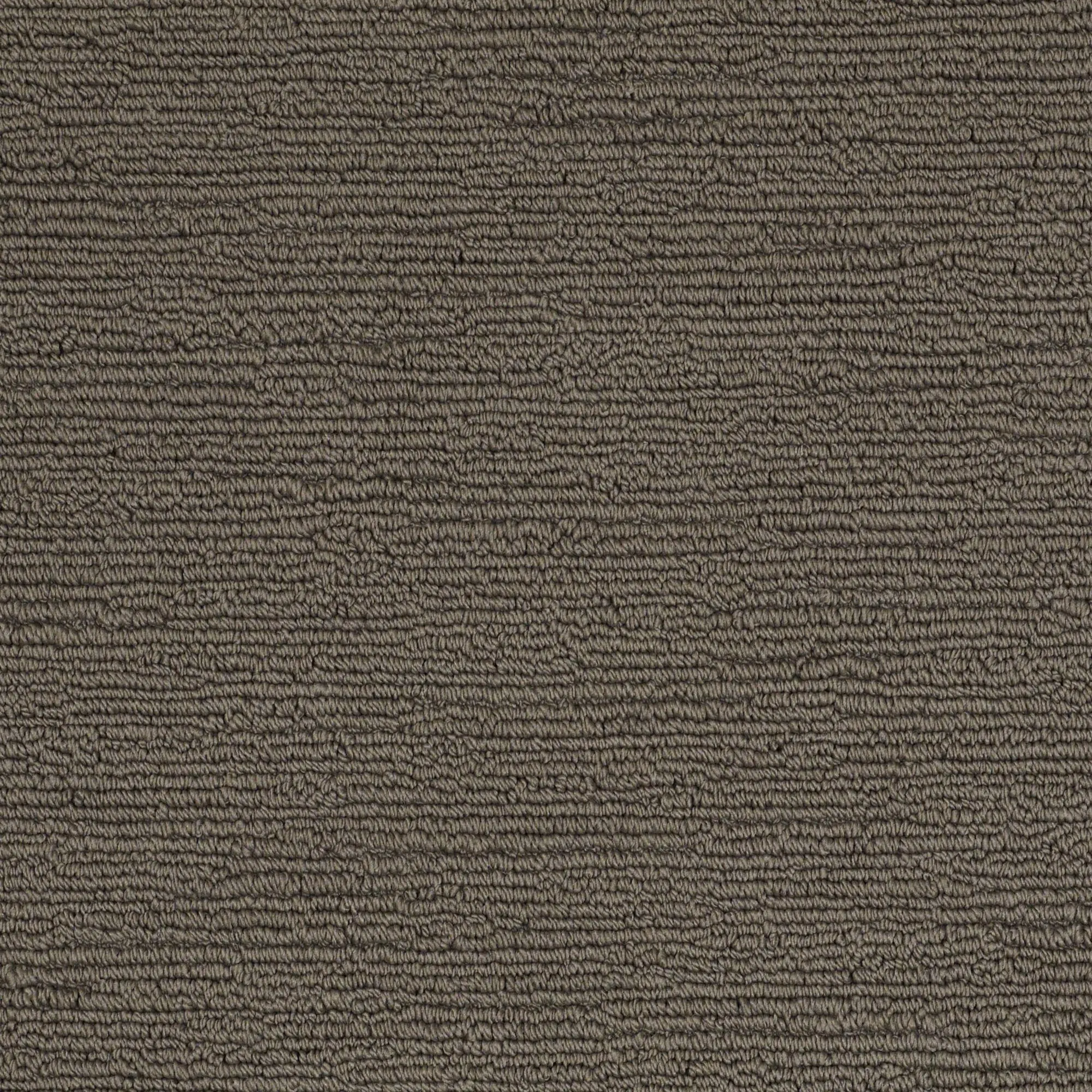PHL.RUSSELL Shaw Russell Carpet-1