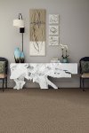 Shaw Poplin Carpet-2