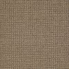 Shaw Georgette Carpet