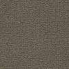 Shaw Cordovan Carpet-1