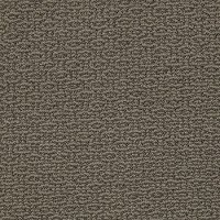Shaw Cordovan Carpet