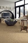 Shaw Cordovan Carpet-2