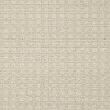 Shaw Charmuese Carpet