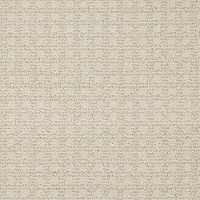 Shaw Charmuese Carpet