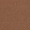 Mohawk Alluring Beauty Carpet-1