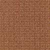 Mohawk Interpretations Carpet