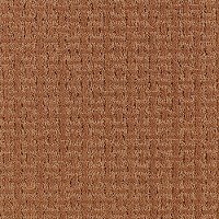 Mohawk Interpretations Carpet