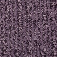 Dixie Smart Move Carpet
