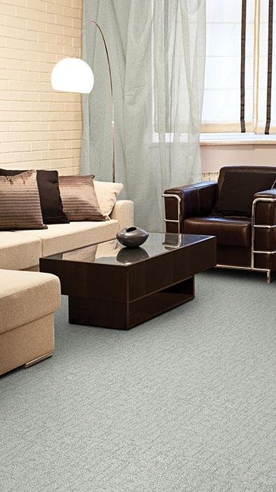 BRE.SMART.MOVE Dixie Smart Move Carpet-2