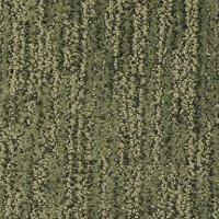 Masland Stainmaster Mesa Verde Carpet