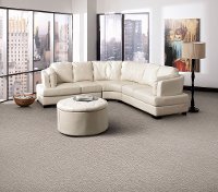 MSL.MESA.VERDE Masland Stainmaster Mesa Verde Carpet-2