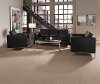 Masland Stainmaster Casa Grande Carpet-2