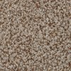 BRE.AMORE Dixie Stainmaster Amore Carpet