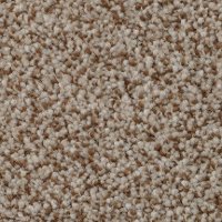 BRE.AMORE Dixie Stainmaster Amore Carpet