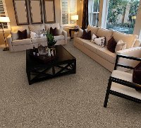BRE.AMORE Dixie Stainmaster Amore Carpet-2