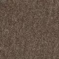 QUE.ESSENCE.III Shaw Essence III Carpet