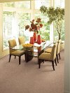 Shaw Essence III Carpet-2