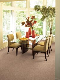 QUE.ESSENCE.III Shaw Essence III Carpet-2