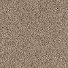 Mohawk Cozy Carpet