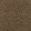 Karastan Dazzling Event Carpet