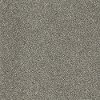 Shaw Uncomplicated Carpet