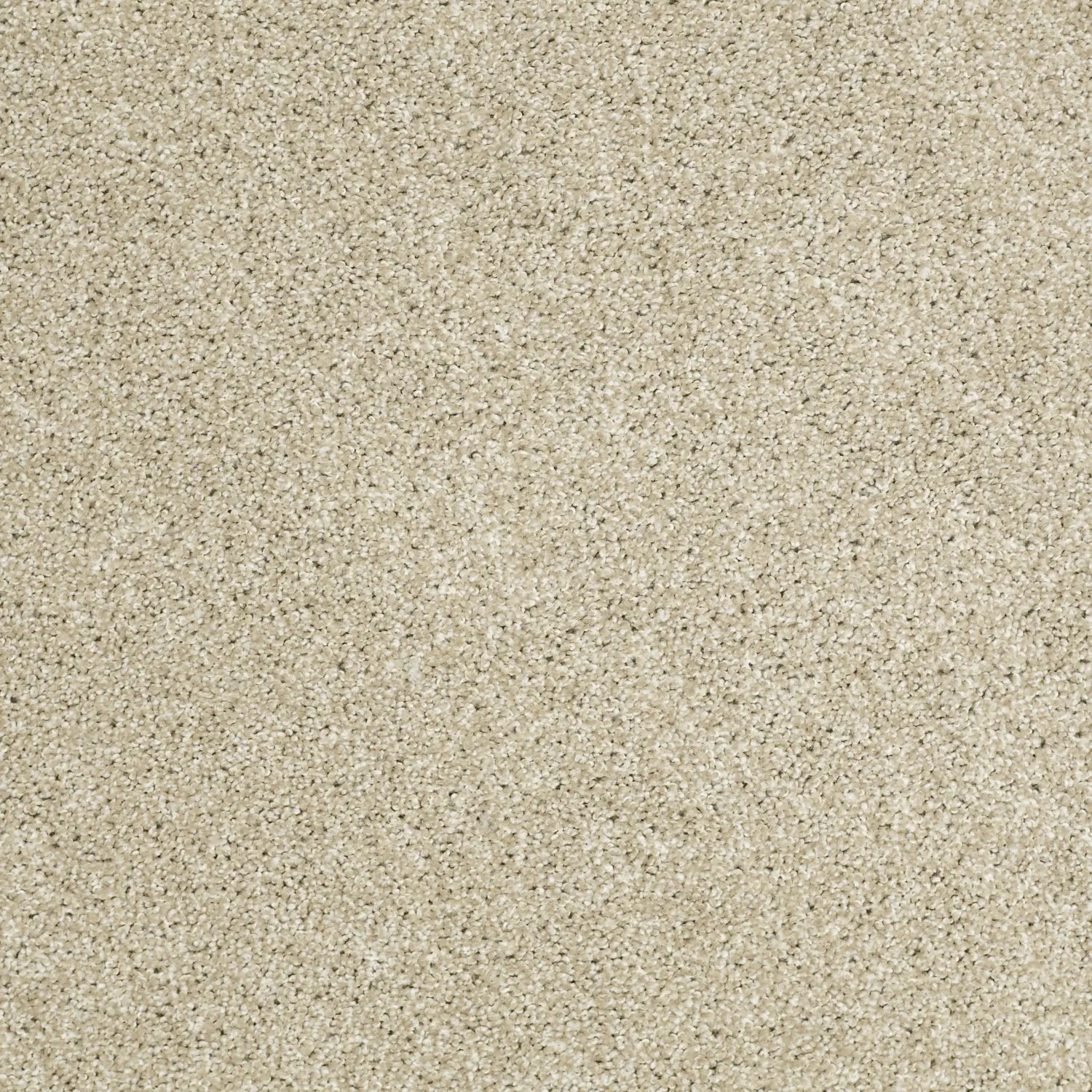 PHL.UNCOMPLICATED Shaw Uncomplicated Carpet-1