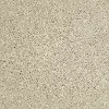 PHL.UNCOMPLICATED Shaw Uncomplicated Carpet