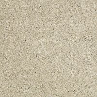 Shaw Uncomplicated Carpet