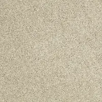 PHL.UNCOMPLICATED Shaw Uncomplicated Carpet