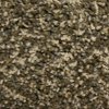 PHN.PROSPECT.PARK Phenix Stainmaster Prospect Park Carpet