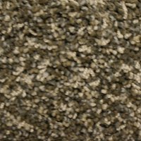 Phenix Stainmaster Prospect Park Carpet