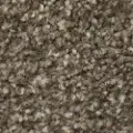 PHN.CITY.PARK.MD Phenix Stain Protection City Park Carpet
