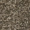 PHN.CITY.PARK Phenix Stainmaster City Park Carpet