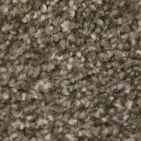 PHN.CITY.PARK Phenix Stainmaster City Park Carpet